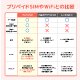日本一時帰国で使うSIMとWiFIの比較