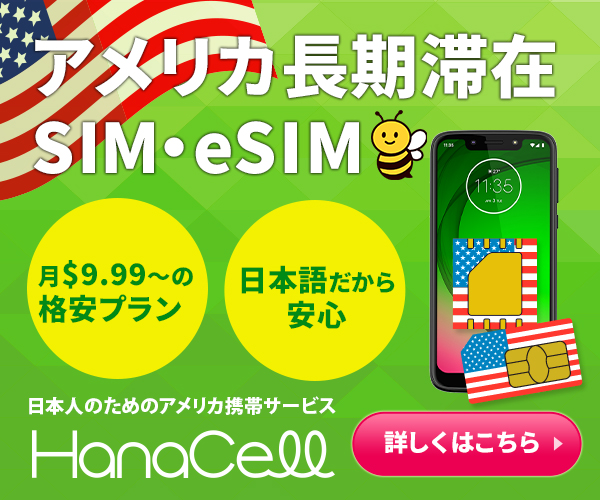 アメリカSIM