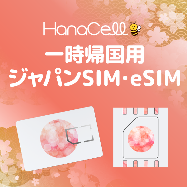 日本一時帰国SIMの商品画像
