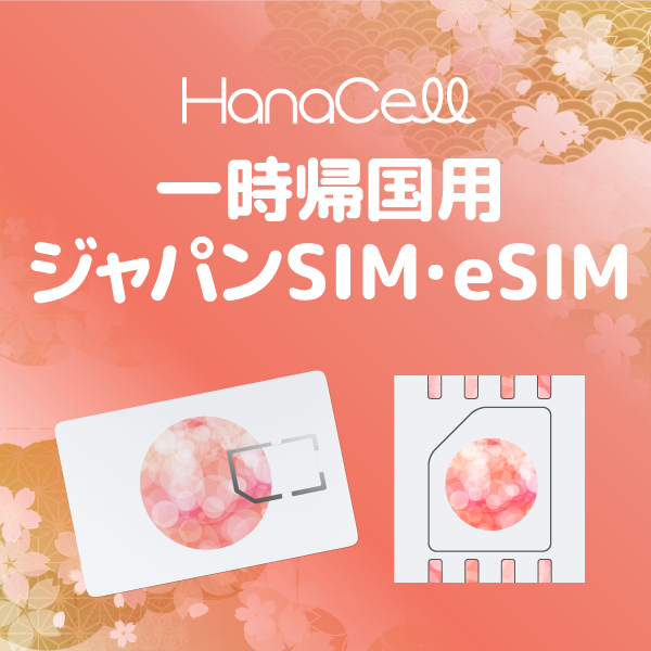 アメリカSIM