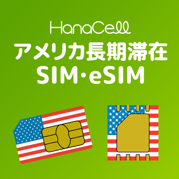 アメリカSIM
