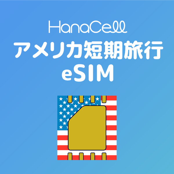 アメリカSIM