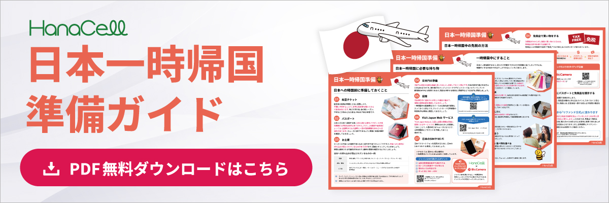 一時帰国の準備と持ち物は？海外在住者の日本滞在のコツ